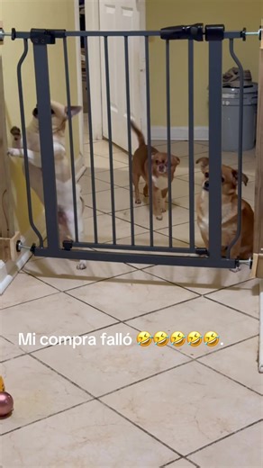 Humorous Amazon Purchase Fails and Reactions