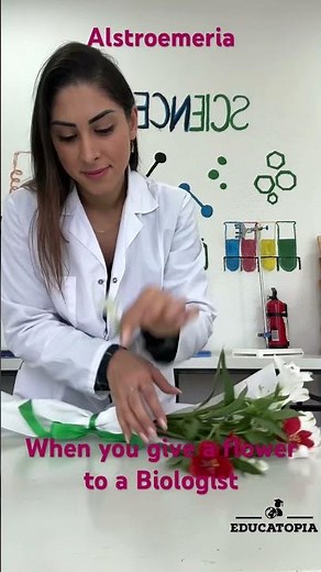 Exploring Flower Anatomy: A Fun Dissection #Botany #ScienceExperiment #FlowerAnatomy #STEMAtHome