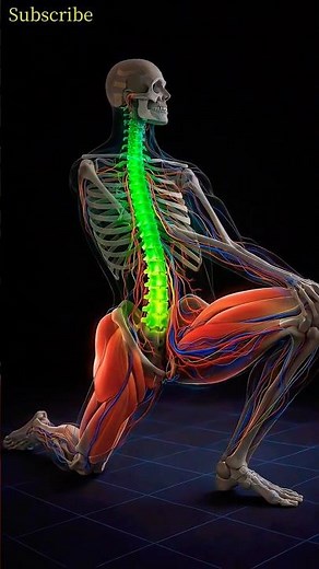 Fix Tight Hips & Relieve Lower Back Pain (Deep Hip Flexor Stretch