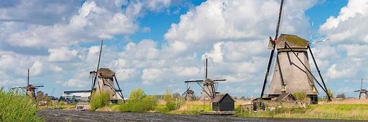 Live and Learn on Organic Farms