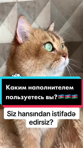 Zoo Vet Store on TikTok