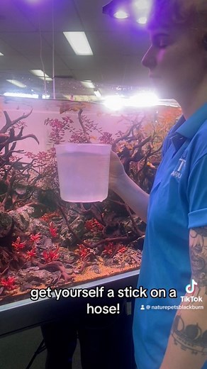 24K views · 143 reactions | Quick tip, dont scoop your water out when changing water! Siphon from the bottom of the tank into a bucket. Youll get all the funky bits and it’s super satisfying  Stick on a hose here➡️ https://www.natureaquariums.com.au/products/qanvee-water-changer-s-3?_pos=1&_psq=Qanvee+water&_ss=e&_v=1.0 #siphon #cleaning #aquariumcare #aquarium #fish #aquariumsyphoning #aquariumtips #AquariumCleaning | Nature Pets & Aquariums | Facebook