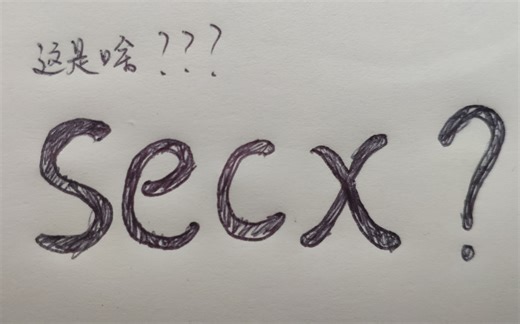 secx?他到底怎么读？你又了解他多少呢？