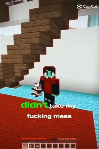 pepesan TV #minecraft