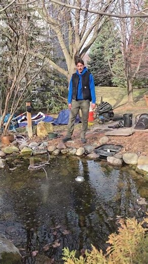 Why Fish Die in Winter (Even With a Heater and Aeration 😬)