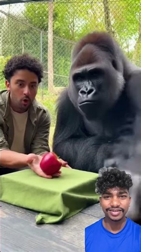 Japanese Transform Your Home with These Cool Tools! 🔧 #shorts​ #gadgets​" 117