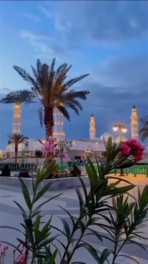 Memon-Memon (@memon_memon123)’s videos with original sound - Memon-Memon