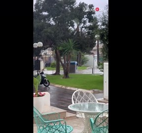 Bin glides through Santa Ponsa's flooded street during flash flood