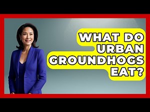 What Do Urban Groundhogs Eat? - The Wild Life Explorer