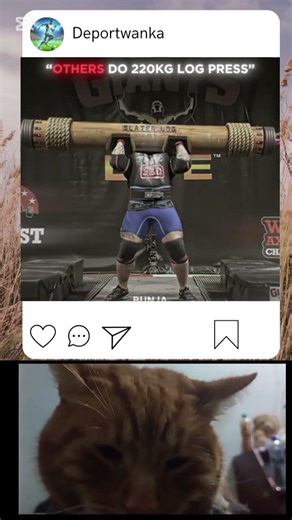 Log Press Fails😬 #gym #strength #eddiehall #strongman