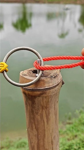 This Rope Trick Is So Simple but So Clever ✅🙏 #shortsfeed #lifehacks #viral