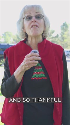 As 2025 comes to a close, we’re reminded of the sacrifices made by the men and women who served our country. Wreaths Across America is a powerful way to honor their legacy and express our lasting gratitude. Thank you to everyone who helped us remember those who gave so much. | San Tan Mountain View Funeral Home and Advance Planning Center