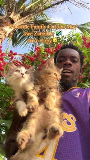 Exploring Family Garden Mw/kwe Zanzibar with Cats