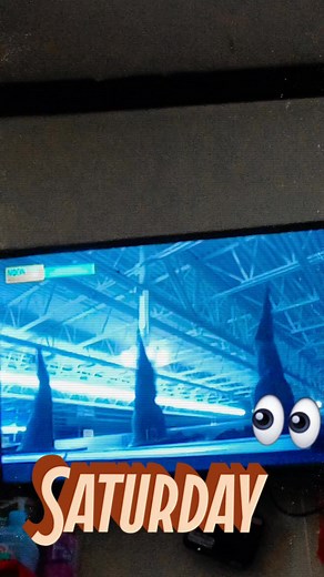 Watching GooseBump 2 & Haunted Holloween at GTv