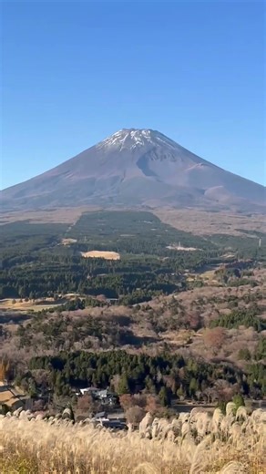 マジでここ綺麗すぎた#景色#富士山#雪