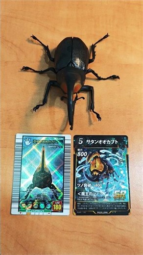 甲虫王者ムシキング X 蟲神器 - サタンオオカブト #ムシキング #蟲神器 #カブトムシ