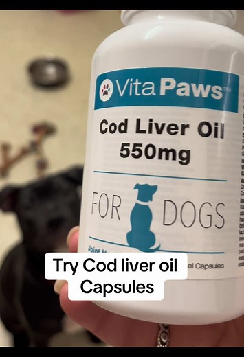 Cod liver oil capsules for dogs. #codliveroil #healthydog #tiktokmademebuyit #itchyskin #healthybones #dogsoftiktok #furbaby #dogs