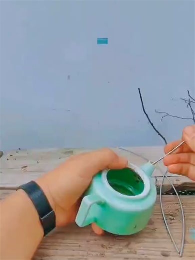 148 Don't throw away the discarded tea cups at home,use succulent to turn waste into treasure #teacup #cups #succulent #home #foryou #plant #plantsoftiktok