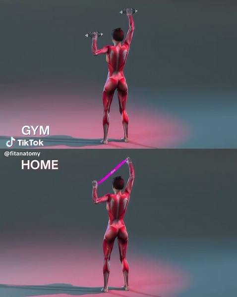 Arm Workout: Gym vs Home This arm sculpting workout can be done using a band or dumbbells. Routine: Perform 10-12 reps, 2-3 sets of each exercise. Exercises: 1. Front & lateral raise 2. Flashers 3. Alternating shoulder pull 4. Tri back press out 5. Side press 6. Tricep kickback 7. Concentration curl @Home Workout #armworkout #gymlife #homeworkout #bandsanddumbbells #sculptingarms #fitnessroutine #frontlateralraise #flashers #shoulderpull #backpressout #sidepress #tricepkickback #concentrationcur