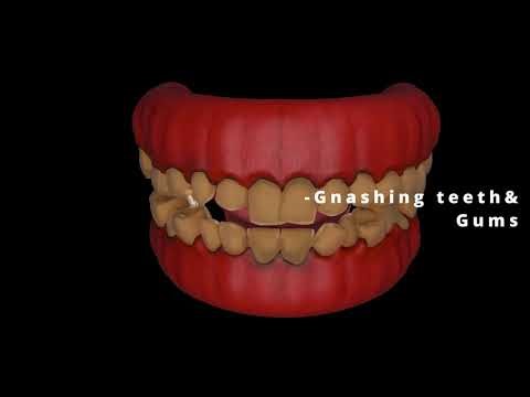 Organs Demo Reel- 4K Biomedical Visualization