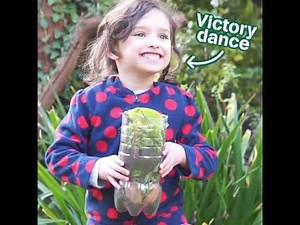 Get Creative Outdoors - Building a Wormery