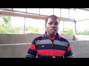 MODULES (3) pig farming pens (boar, pregnant sows, fattening, farrowing)