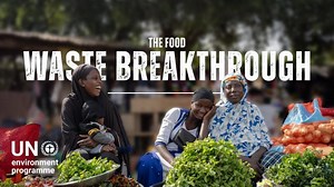 Food waste is fuelling climate change | Centre for Climate Change Research