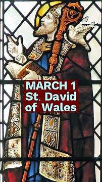 The Bishop Who Raised a Nation | St. David of Wales (March 1)