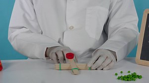 13K views · 287 reactions | Gadzooks! Now you can do your very own Lisa Loud science project! | The Loud House | Facebook