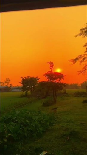মৃত্যুর স্বাদ গ্রহণ করতে হবে