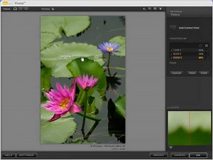 Nik Software original training -- Viveza Introduction