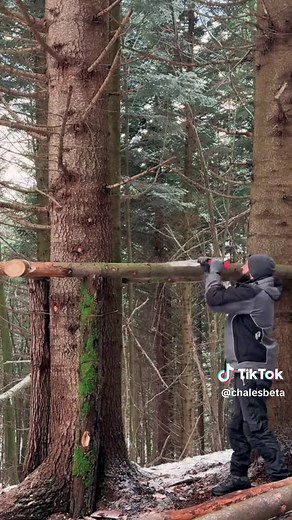 Build a Winter Shelter in the Forest
