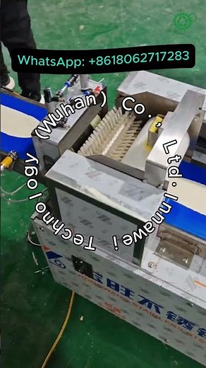 Automatic Noodle Making Machine | Commercial Dough Sheet Roller & Cutter for Pasta | Pasta Machine