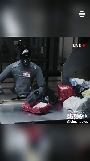 Robots humanoides procesan 10.000 paquetes en 8 horas: transmisión en directo