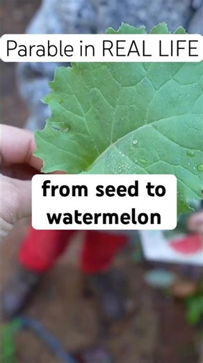 Devotionals made easy with Parable Play