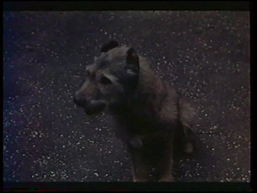 Clodo (1971)