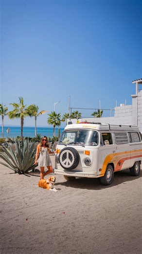 Whale shark encounter in La Paz bucket list experience