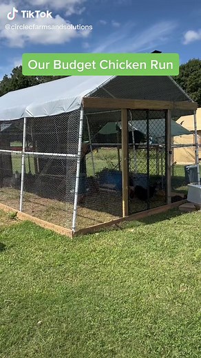 Our Budget Chicken Run Build on the Farm
