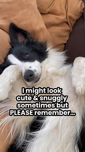 6.7K views · 4.5K reactions | Physical exercise comes in SO types and...