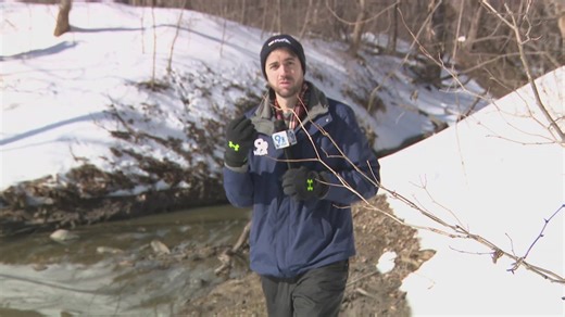 Sewage spills into Potomac River