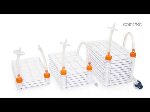 Corning クローズド システム CellSTACK 容器で細胞培養を効率化