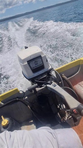 Help.. What's the problem?? I can't get her up to full revs.. Seems to be starved for fuel ?? I squeeze the fuel bulb until it's hard but no change in revs, then the bulb goes soft and still no change.. New spark plugs, new leads, new fuel lines.. #outboard #motor #boating #johnson | The Bay Today