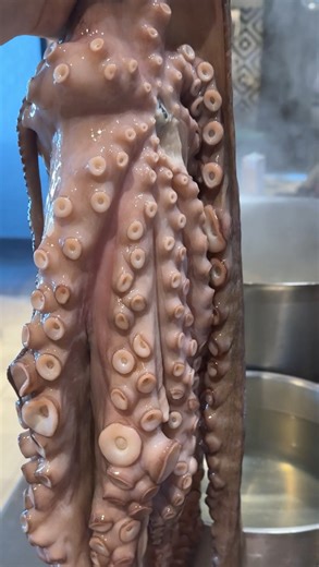 Tom Aikens | My last dish made on @intercontinental_maldives Poached Octopus with Tomato jam & oil Fried marjoram Pine nuts Basil pulp The octopus... | Instagram