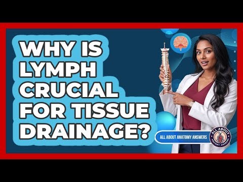 Why Is Lymph Crucial For Tissue Drainage?