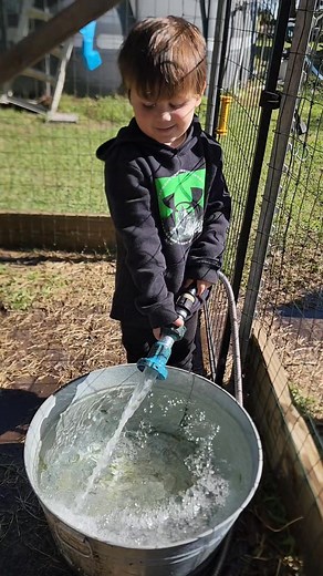 Meet my new farmhand! Isn't he the cutest 🥰 | The Lazy Chicken Farm