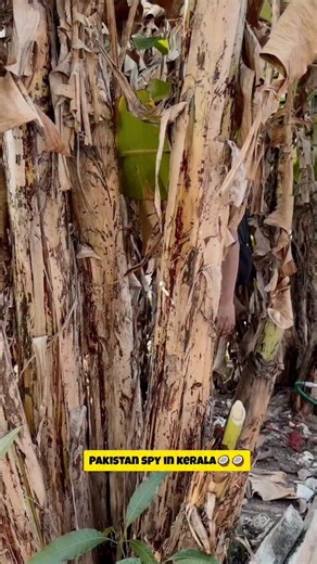 AKHIL NRD on Instagram: "END OF TREND 🙂"