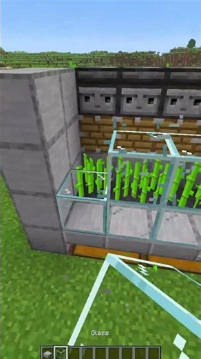 Automatic Redstone sugarcane farm with pistons in Minecraft #minecraft