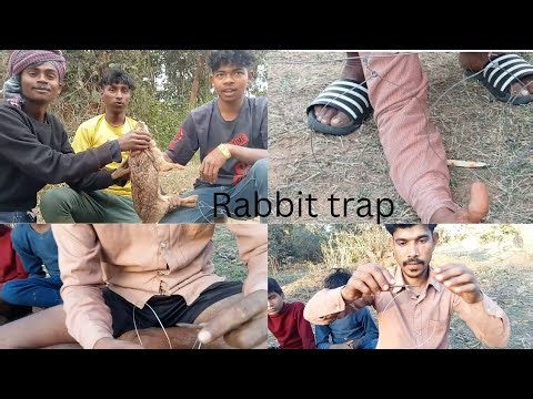 Rabbit 🐇🐰 trap // Trap making in easy way
