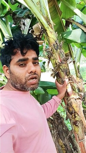 bedardi Sanam#sad viral trending video #jakhmidilsong 💔💔💔