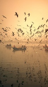 7.1K views · 221 reactions | Varanasi, a city that has withstood the test of time, is a melting pot of spirituality, history, and culture | Discover India | Facebook